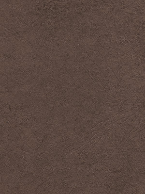 青空文庫の猫たち u2013 猫の手ネット